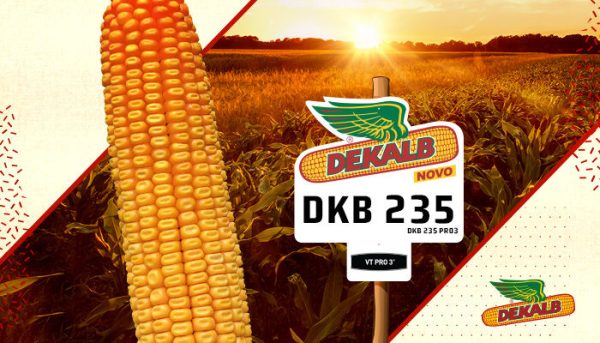DEKALB -DKB 235 PRO 3