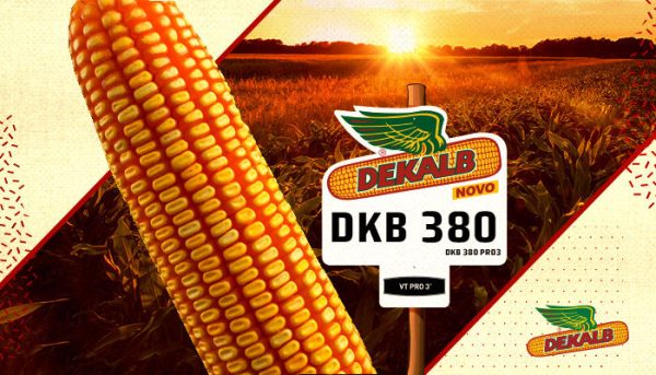 DKB 380 PRO3